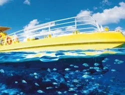 Cancún: Glass Bottom Boat Underwater Exploration Tour with Open Bar